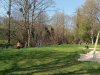 IMG20250327113851