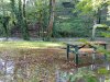 IMG20231109111707