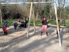IMG20250306104123