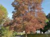IMG20251002111836