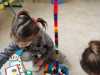 IMG-20230412-WA0032