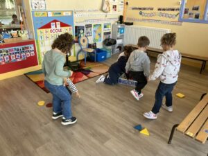 Les petites sections trient les formes